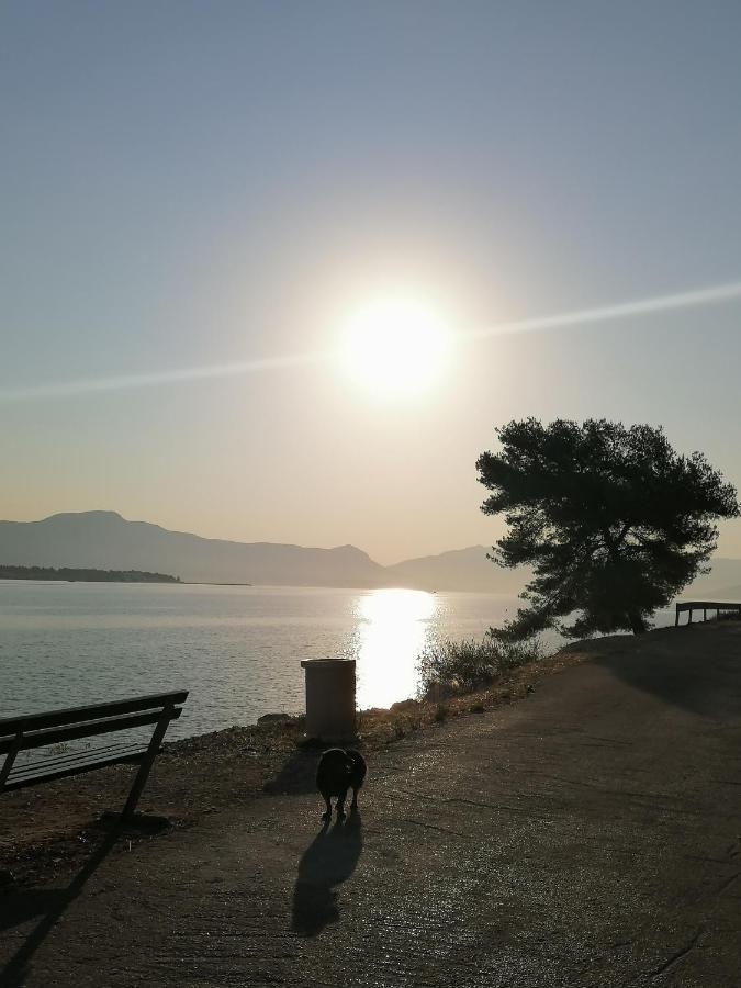 Apartmani Barnjak Trogir Dış mekan fotoğraf